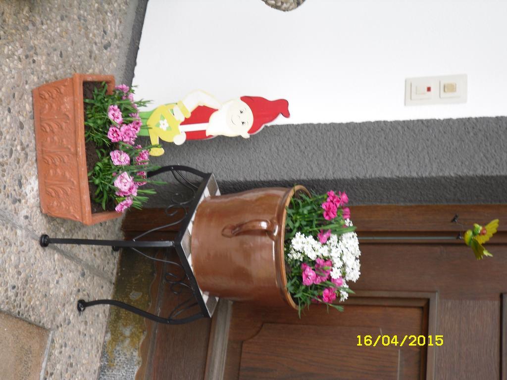 Vorderwiesgut Altenmarkt im Pongau Extérieur photo