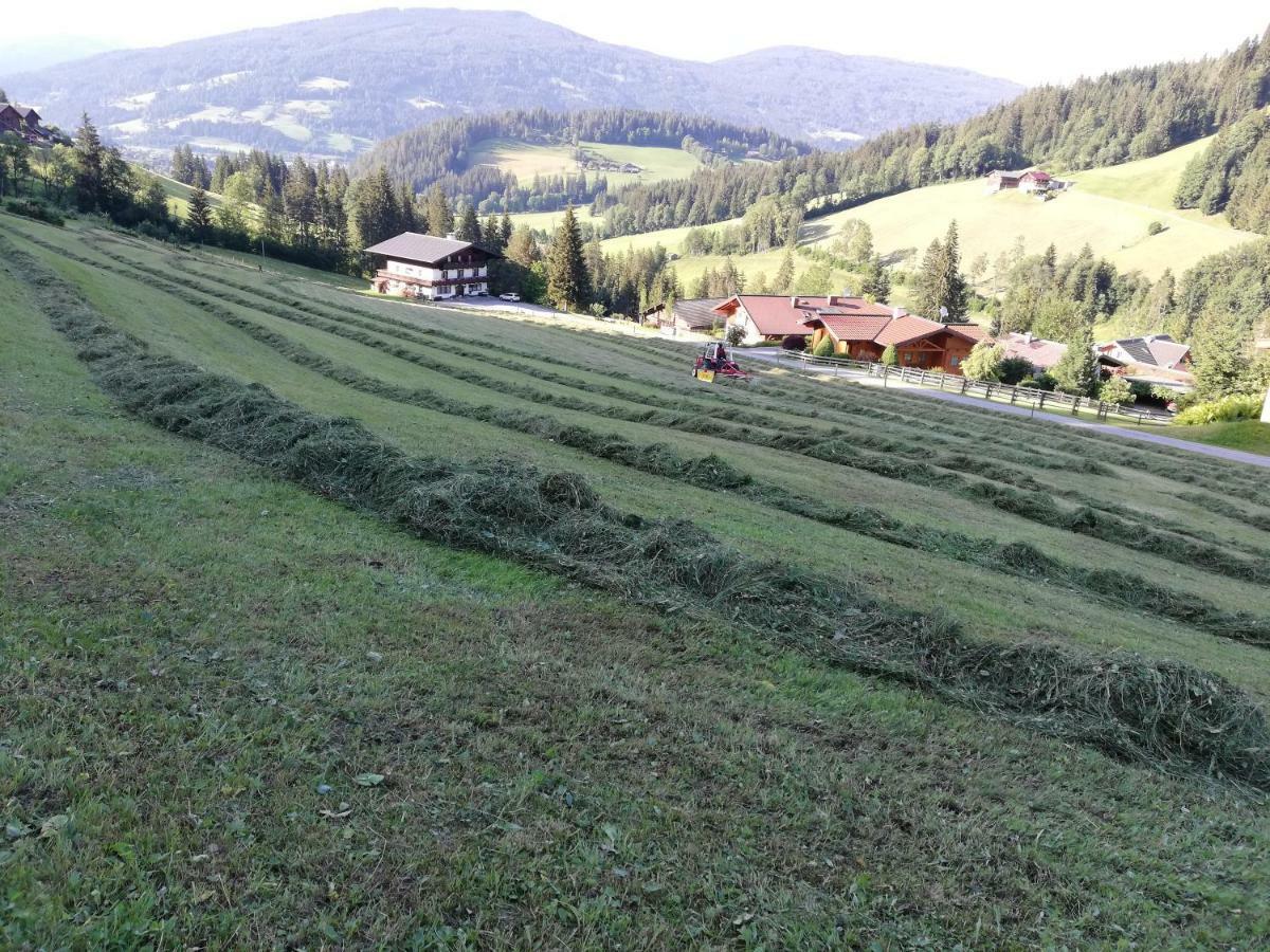 Vorderwiesgut Altenmarkt im Pongau Extérieur photo