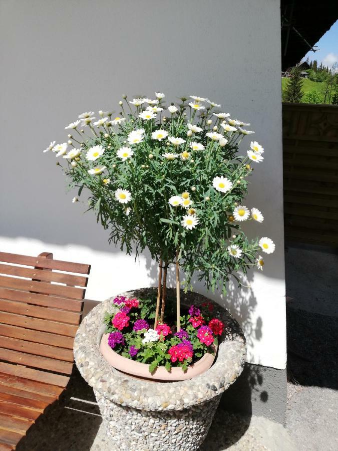 Vorderwiesgut Altenmarkt im Pongau Extérieur photo