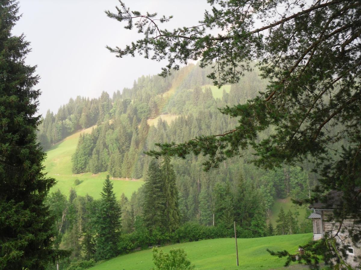 Vorderwiesgut Altenmarkt im Pongau Extérieur photo